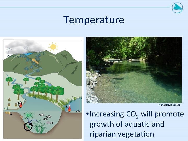 Temperature Photo: David Boseto • Increasing CO 2 will promote growth of aquatic and