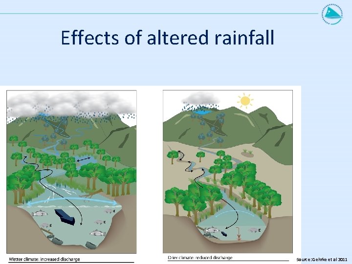Effects of altered rainfall Source: Gehrke et al 2011 