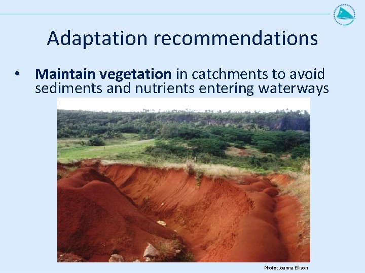 Adaptation recommendations • Maintain vegetation in catchments to avoid sediments and nutrients entering waterways