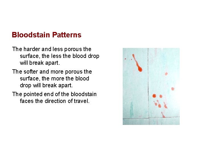 Bloodstain Patterns The harder and less porous the surface, the less the blood drop