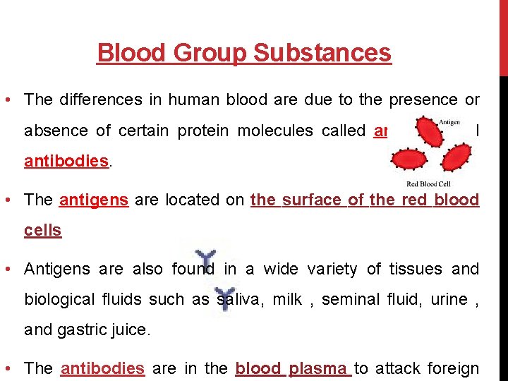 Blood Group Substances • The differences in human blood are due to the presence