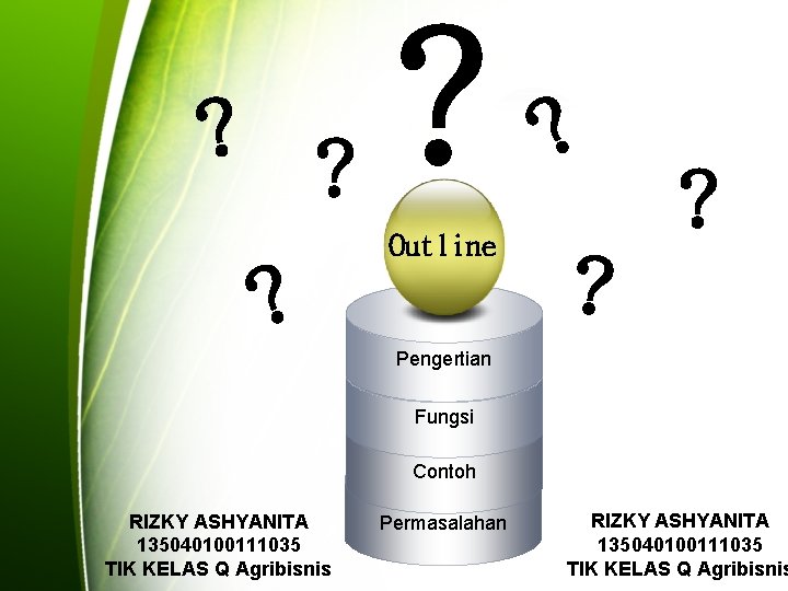 ? ? ? Outline ? ? Pengertian Fungsi Contoh RIZKY ASHYANITA 135040100111035 TIK KELAS