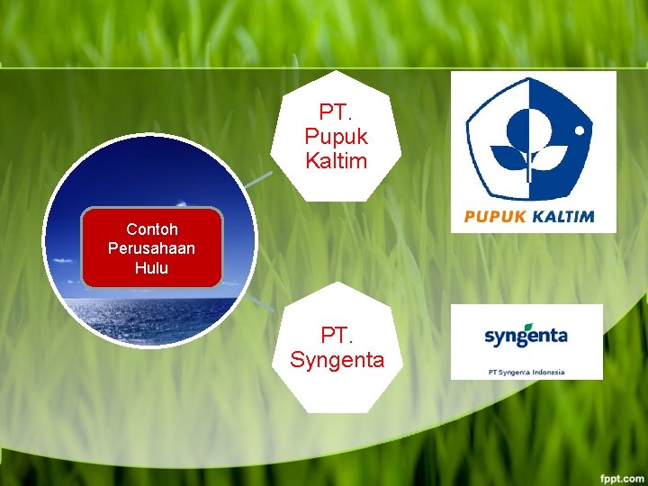 PT. Pupuk Kaltim Contoh Perusahaan Hulu PT. Syngenta 