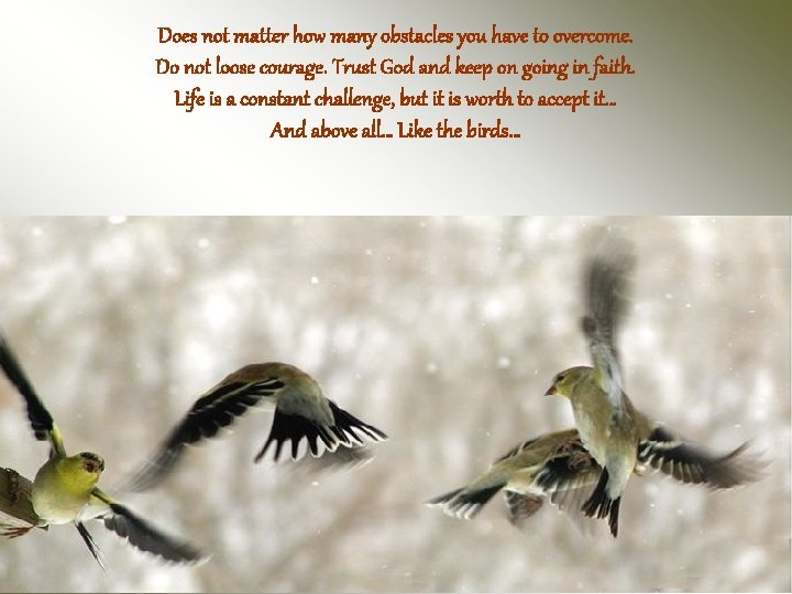 Does not matter how many obstacles you have to overcome. Do not loose courage.