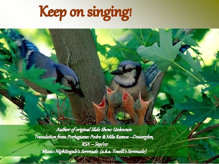 Keep on singing! Author of original Slide Show: Unknown Translation from Portuguese: Pedro &