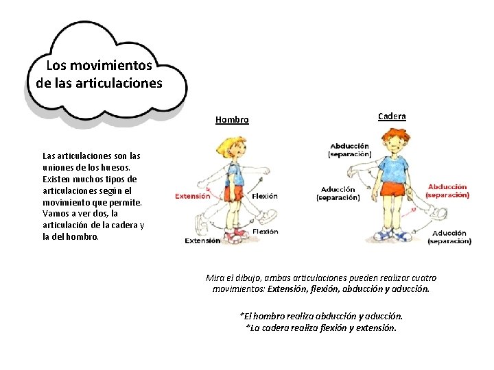 Los movimientos de las articulaciones Hombro Cadera Las articulaciones son las uniones de los