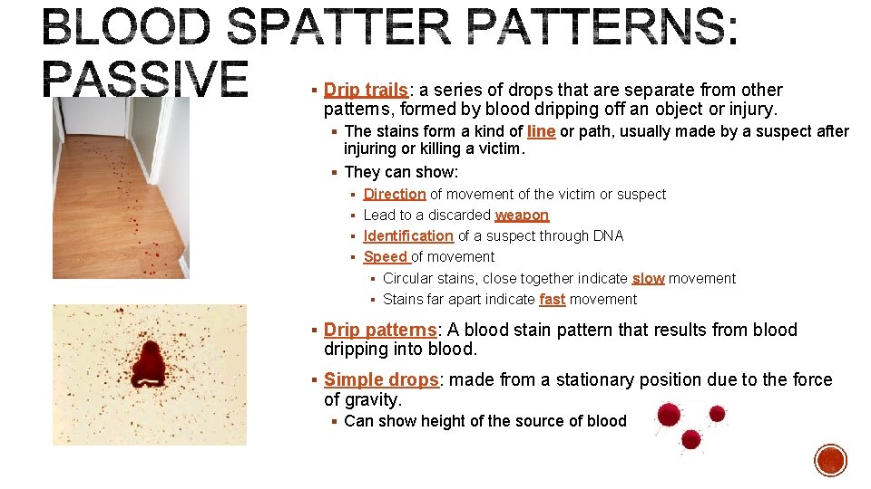 § Drip trails: a series of drops that are separate from other patterns, formed