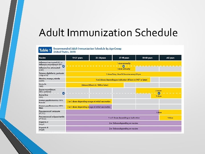 Adult Immunization Schedule 