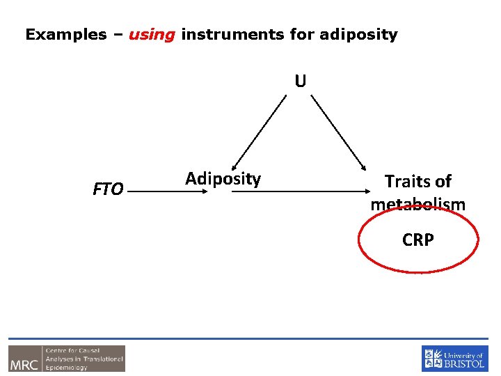 Examples – using instruments for adiposity U FTO Adiposity Traits of metabolism CRP 