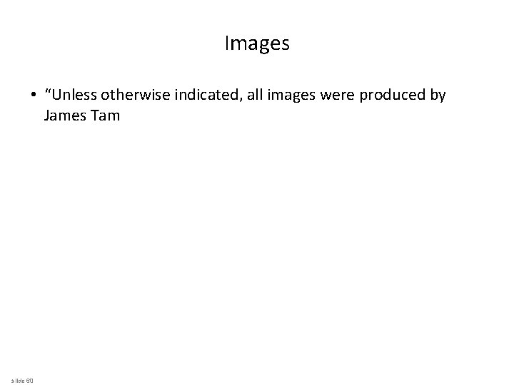 Images • “Unless otherwise indicated, all images were produced by James Tam slide 60