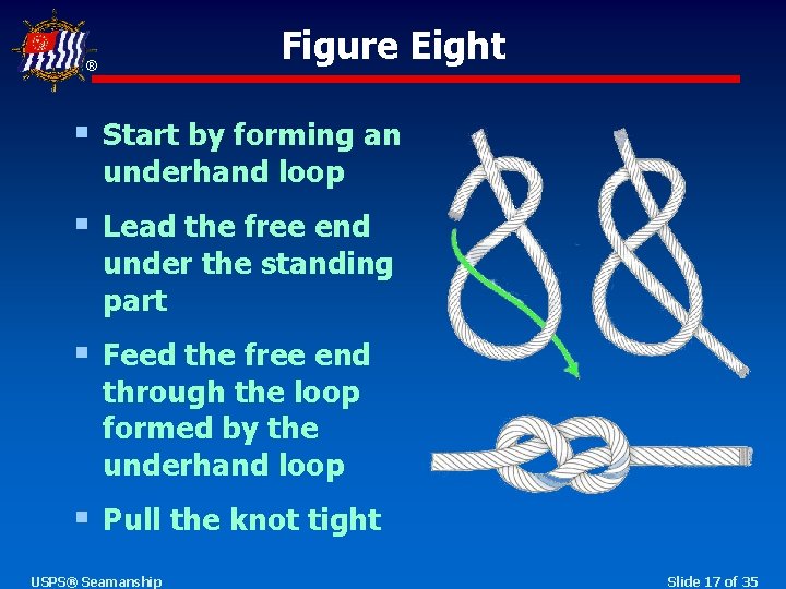 Figure Eight ® § Start by forming an underhand loop § Lead the free