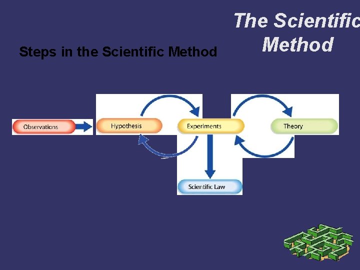 Steps in the Scientific Method The Scientific Method 