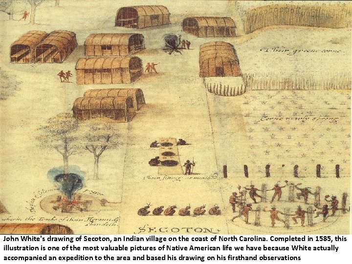 John White's drawing of Secoton, an Indian village on the coast of North Carolina.