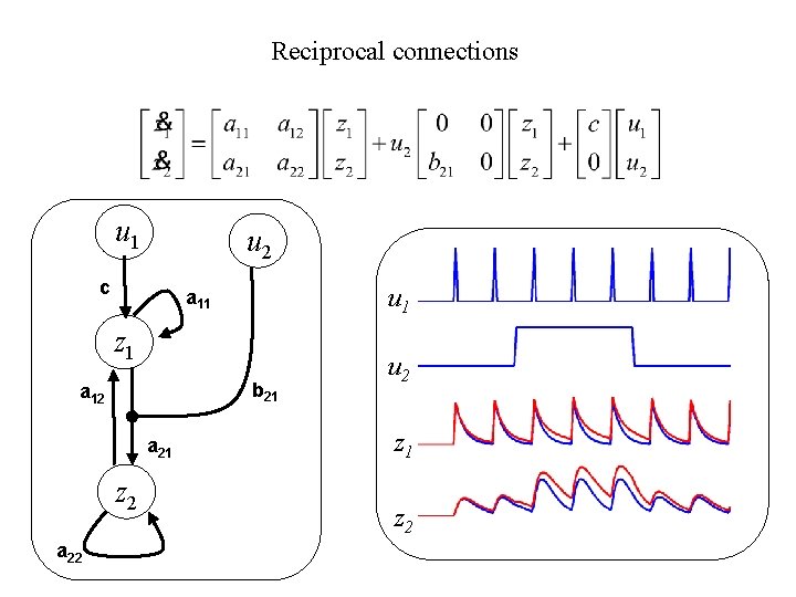 Reciprocal connections u 1 u 2 c u 1 a 11 z 1 b
