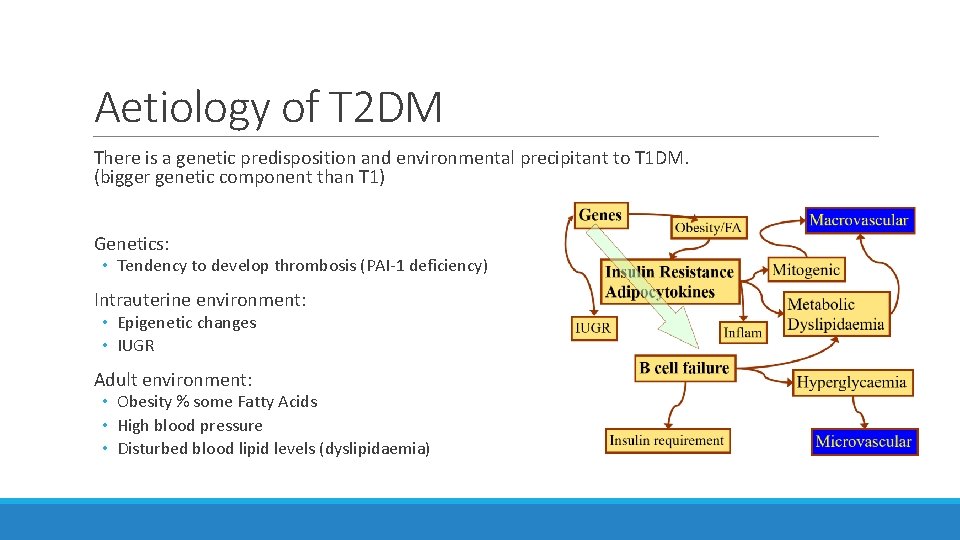 Aetiology of T 2 DM There is a genetic predisposition and environmental precipitant to
