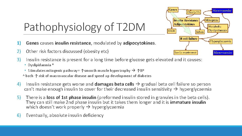 Pathophysiology of T 2 DM 1) Genes causes insulin resistance, modulated by adipocytokines. 2)
