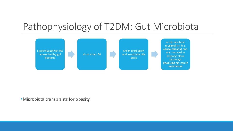 Pathophysiology of T 2 DM: Gut Microbiota Lipopolysaccharides fermented by gut bacteria short chain