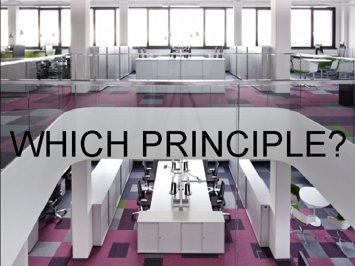 WHICH PRINCIPLE? 