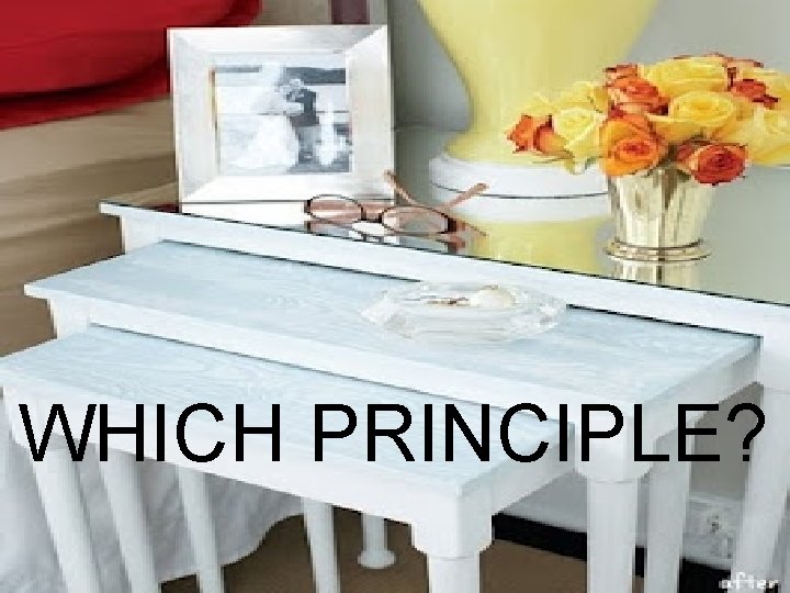 WHICH PRINCIPLE? 