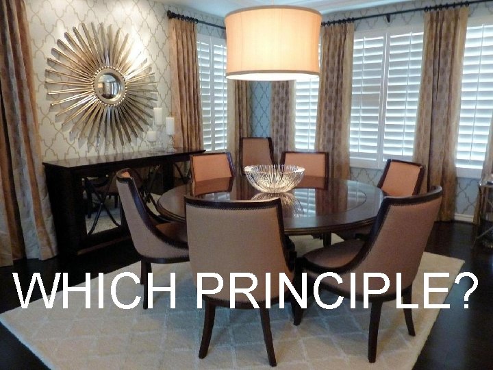 WHICH PRINCIPLE? 