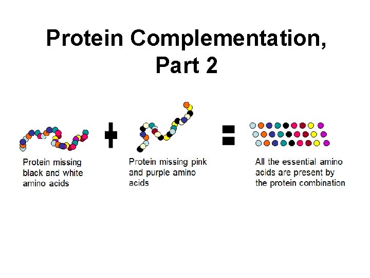 Protein Complementation, Part 2 