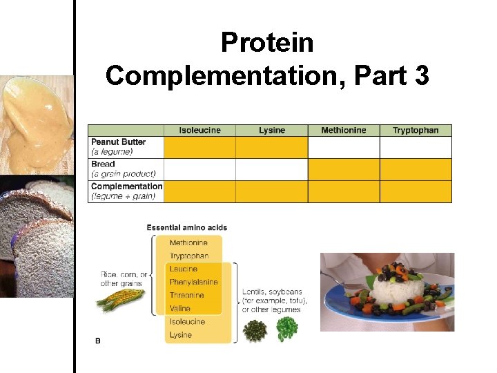 Protein Complementation, Part 3 