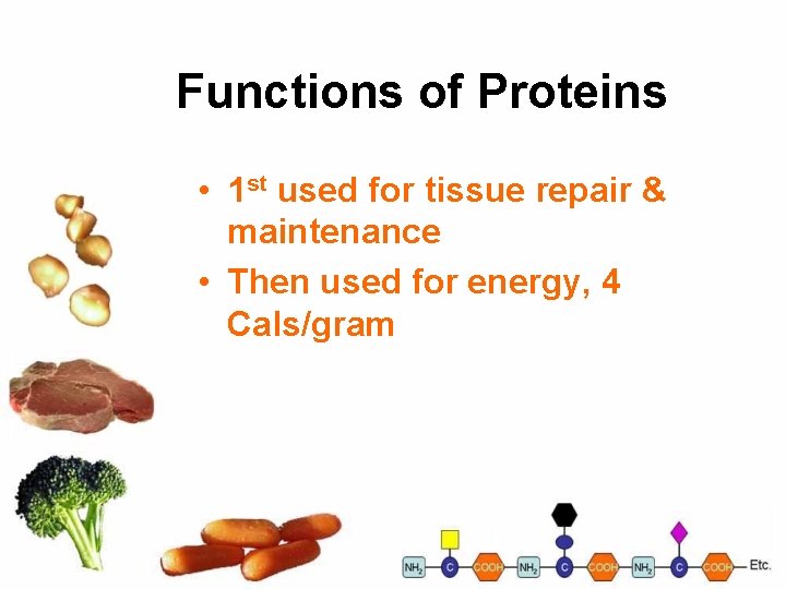 Functions of Proteins • 1 st used for tissue repair & maintenance • Then
