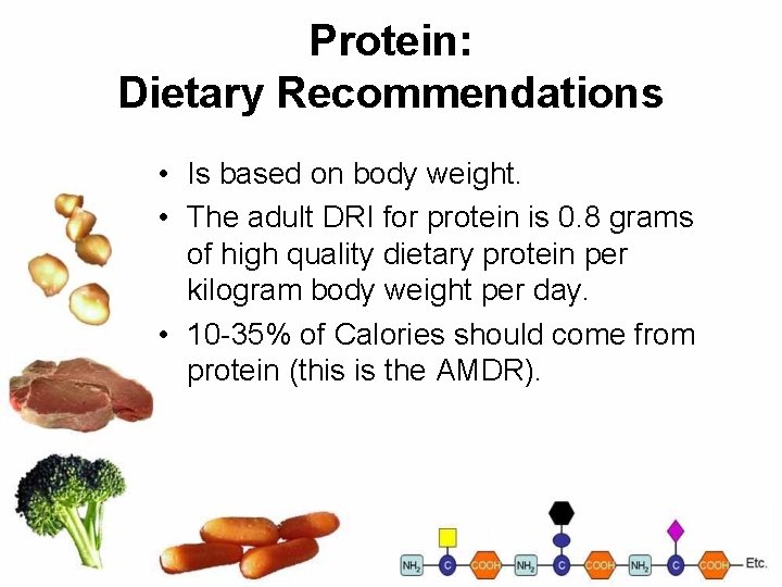 Protein: Dietary Recommendations • Is based on body weight. • The adult DRI for