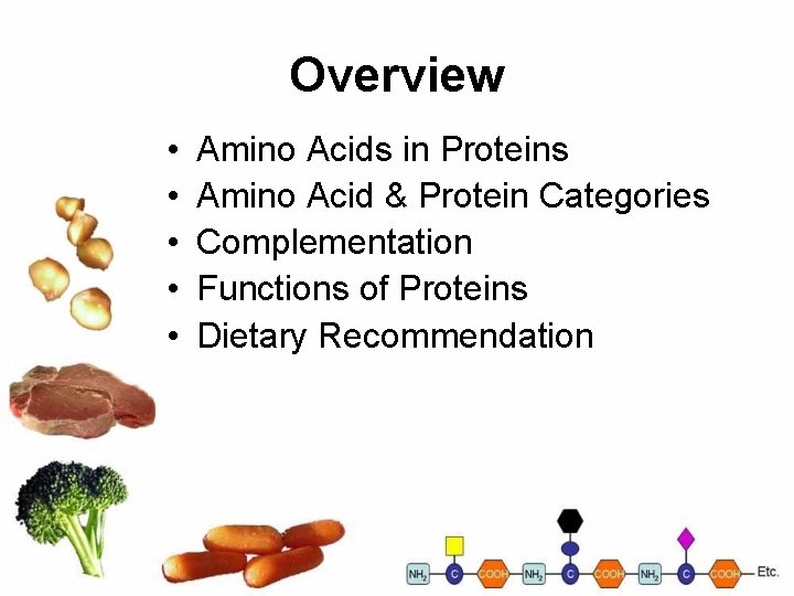 Overview • • • Amino Acids in Proteins Amino Acid & Protein Categories Complementation