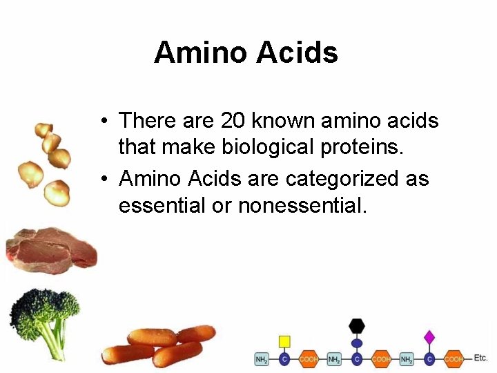 Amino Acids • There are 20 known amino acids that make biological proteins. •