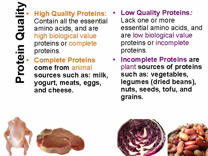 Protein Quality • High Quality Proteins: • Low Quality Proteins: Lack one or more