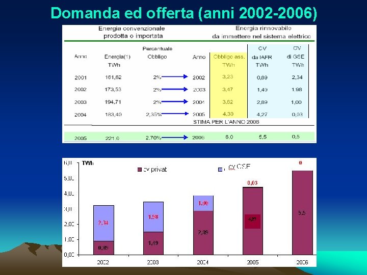 Domanda ed offerta (anni 2002 -2006) 