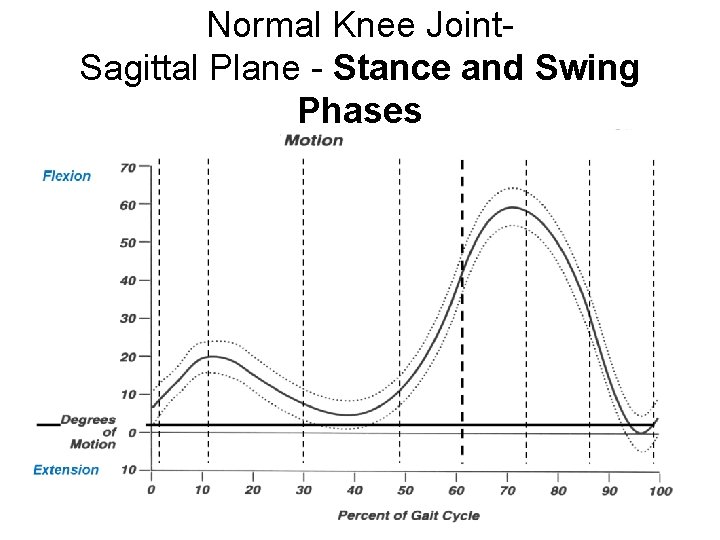 Normal Knee Joint. Sagittal Plane - Stance and Swing Phases 