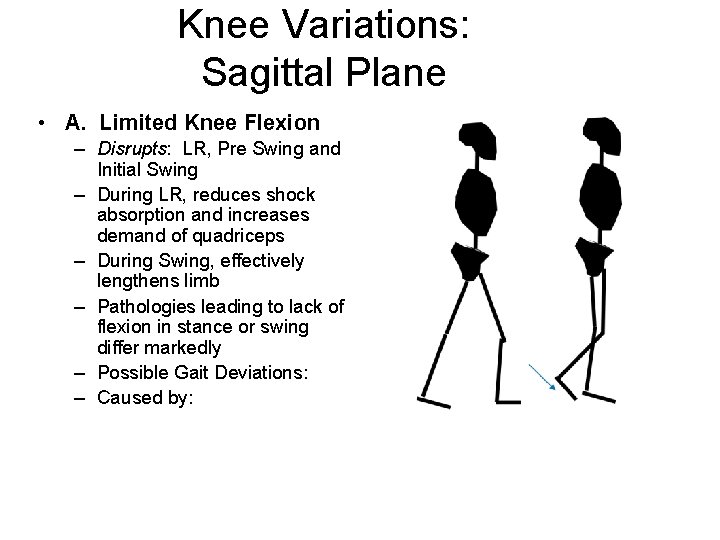 Knee Variations: Sagittal Plane • A. Limited Knee Flexion – Disrupts: LR, Pre Swing