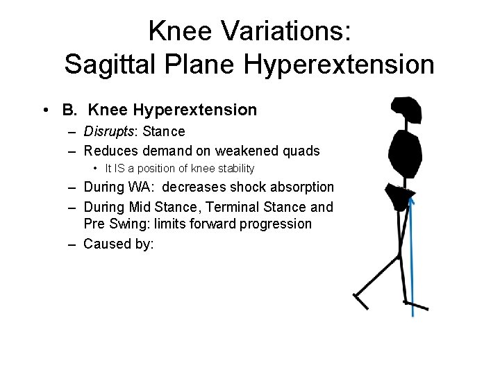 Knee Variations: Sagittal Plane Hyperextension • B. Knee Hyperextension – Disrupts: Stance – Reduces