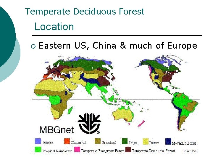 Temperate Deciduous Forest Location ¡ Eastern US, China & much of Europe Temperate Deciduous Forest Location ¡ Eastern US, China & much of Europe