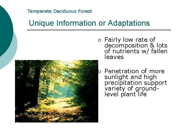 Temperate Deciduous Forest Unique Information or Adaptations ¡ Fairly low rate of decomposition & Temperate Deciduous Forest Unique Information or Adaptations ¡ Fairly low rate of decomposition &