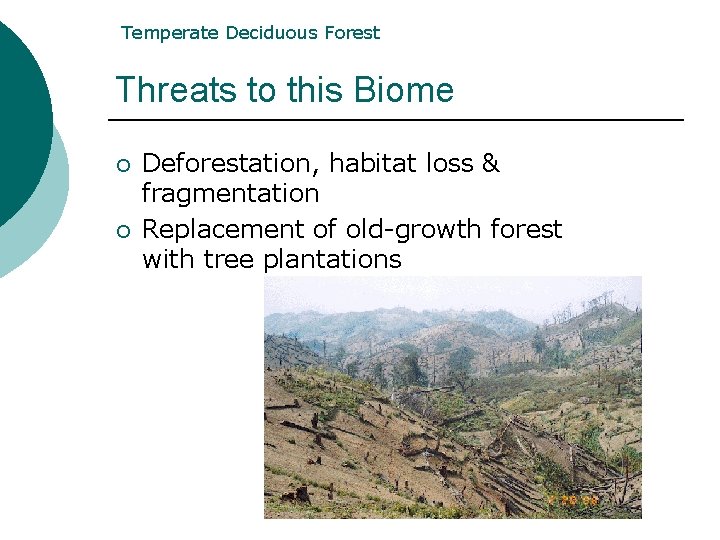 Temperate Deciduous Forest Threats to this Biome ¡ ¡ Deforestation, habitat loss & fragmentation Temperate Deciduous Forest Threats to this Biome ¡ ¡ Deforestation, habitat loss & fragmentation