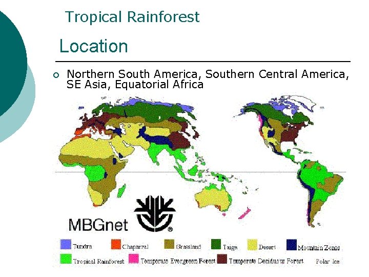 Tropical Rainforest Location ¡ Northern South America, Southern Central America, SE Asia, Equatorial Africa Tropical Rainforest Location ¡ Northern South America, Southern Central America, SE Asia, Equatorial Africa
