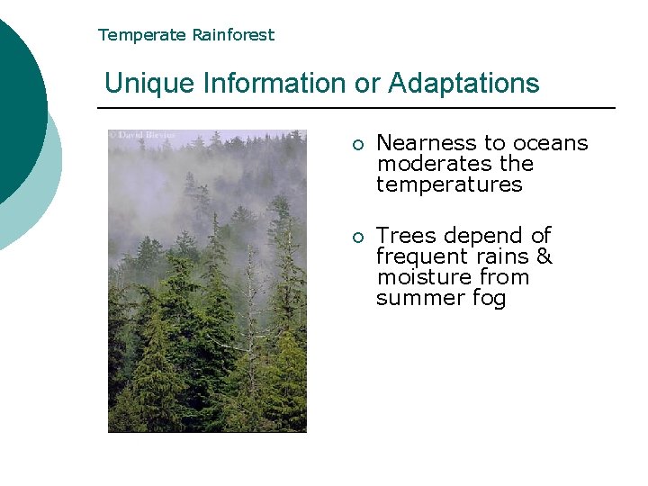 Temperate Rainforest Unique Information or Adaptations ¡ Nearness to oceans moderates the temperatures ¡ Temperate Rainforest Unique Information or Adaptations ¡ Nearness to oceans moderates the temperatures ¡