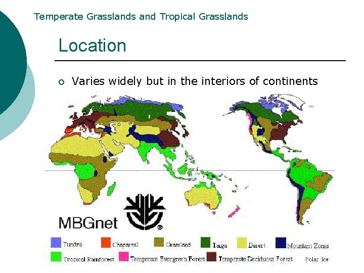 Temperate Grasslands and Tropical Grasslands Location ¡ Varies widely but in the interiors of Temperate Grasslands and Tropical Grasslands Location ¡ Varies widely but in the interiors of
