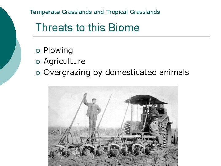 Temperate Grasslands and Tropical Grasslands Threats to this Biome ¡ ¡ ¡ Plowing Agriculture Temperate Grasslands and Tropical Grasslands Threats to this Biome ¡ ¡ ¡ Plowing Agriculture