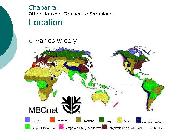Chaparral Other Names: Temperate Shrubland Location ¡ Varies widely Chaparral Other Names: Temperate Shrubland Location ¡ Varies widely