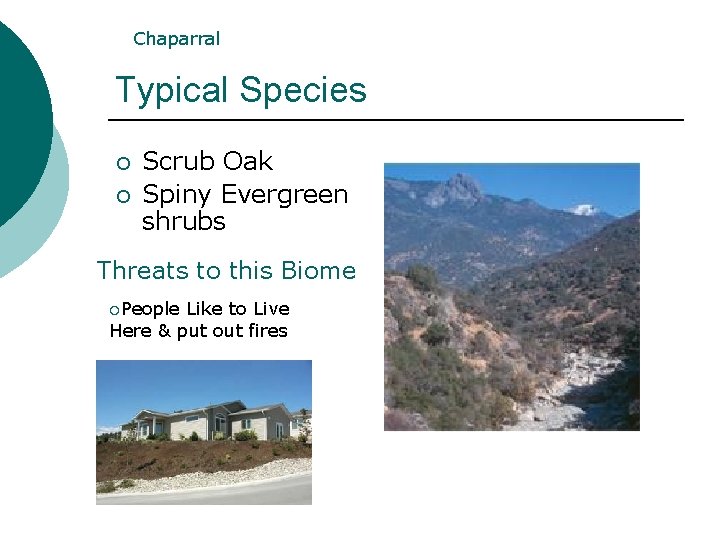 Chaparral Typical Species ¡ ¡ Scrub Oak Spiny Evergreen shrubs Threats to this Biome Chaparral Typical Species ¡ ¡ Scrub Oak Spiny Evergreen shrubs Threats to this Biome
