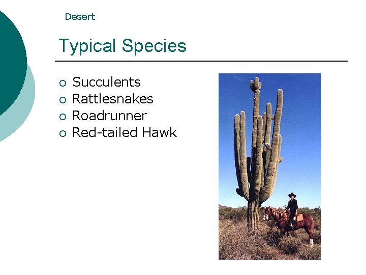 Desert Typical Species ¡ ¡ Succulents Rattlesnakes Roadrunner Red-tailed Hawk Desert Typical Species ¡ ¡ Succulents Rattlesnakes Roadrunner Red-tailed Hawk
