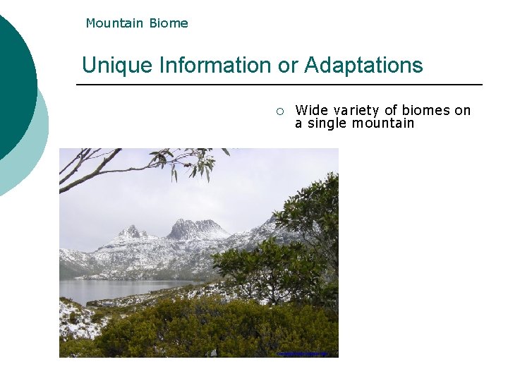 Mountain Biome Unique Information or Adaptations ¡ Wide variety of biomes on a single Mountain Biome Unique Information or Adaptations ¡ Wide variety of biomes on a single