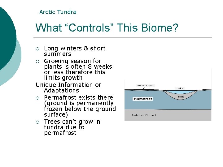 Arctic Tundra What “Controls” This Biome? Long winters & short summers ¡ Growing season Arctic Tundra What “Controls” This Biome? Long winters & short summers ¡ Growing season