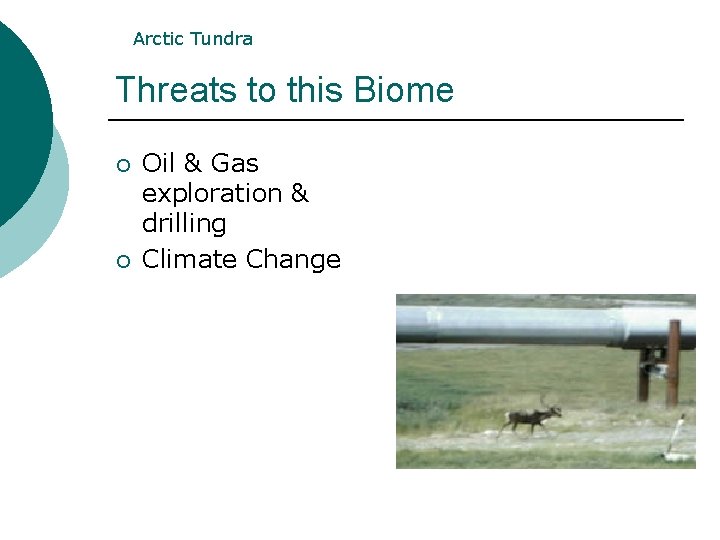 Arctic Tundra Threats to this Biome ¡ ¡ Oil & Gas exploration & drilling Arctic Tundra Threats to this Biome ¡ ¡ Oil & Gas exploration & drilling