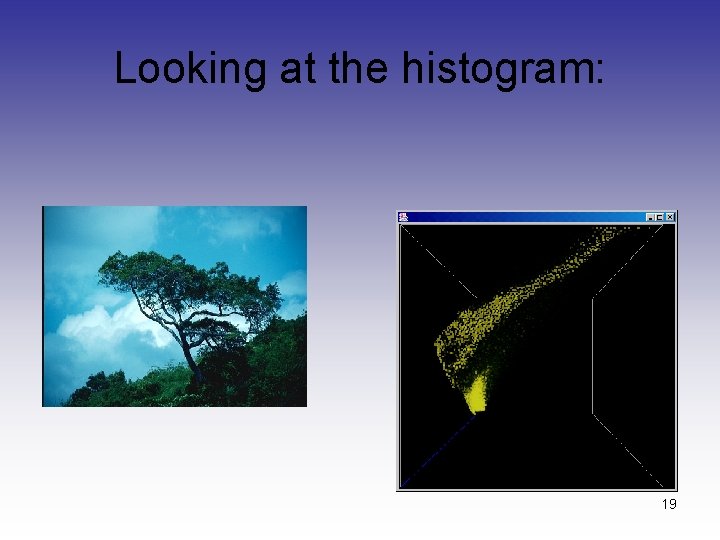 Looking at the histogram: 19 Looking at the histogram: 19