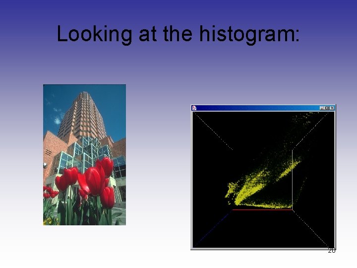 Looking at the histogram: 20 Looking at the histogram: 20
